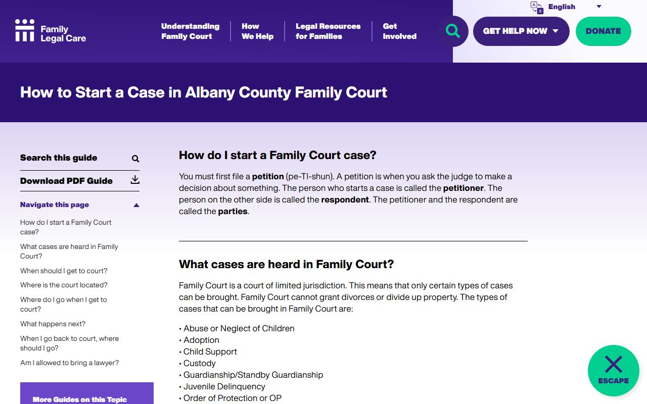 Albany family court records case filing guide