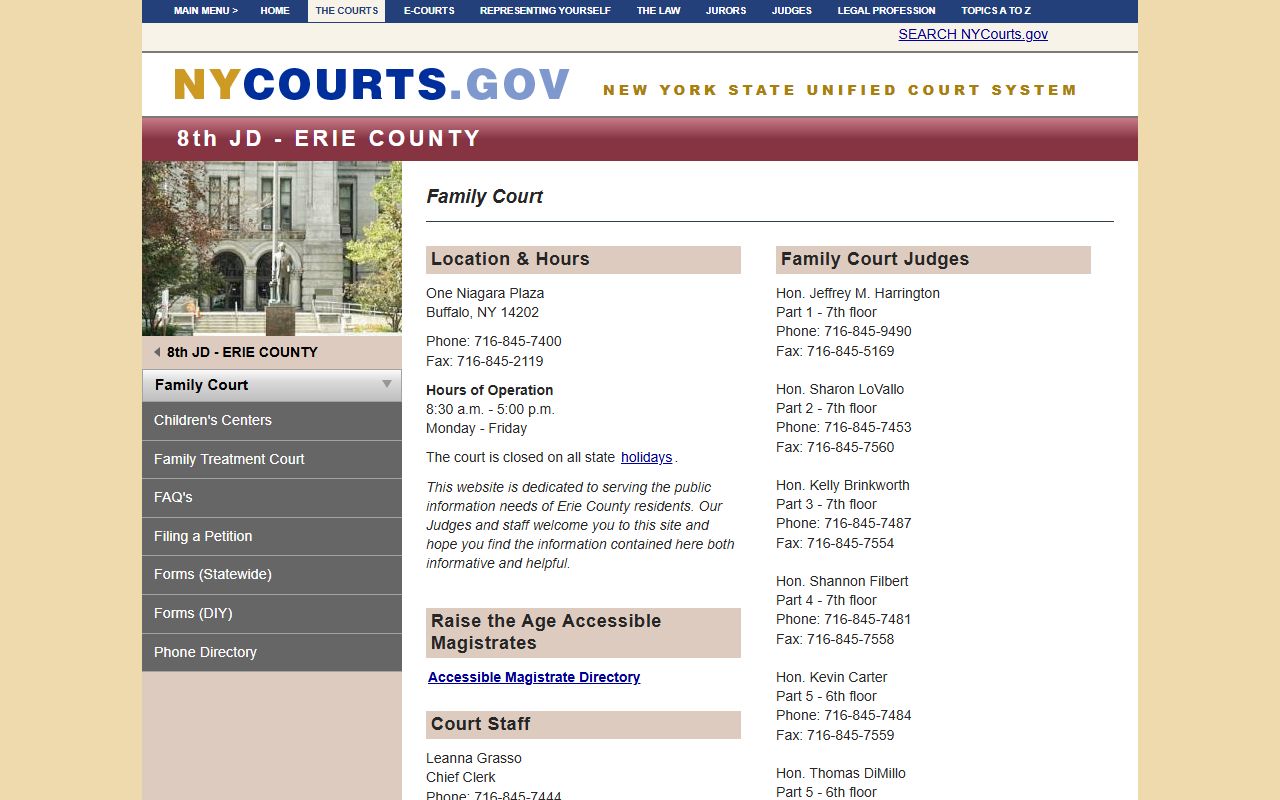 Buffalo family court records Erie County court information