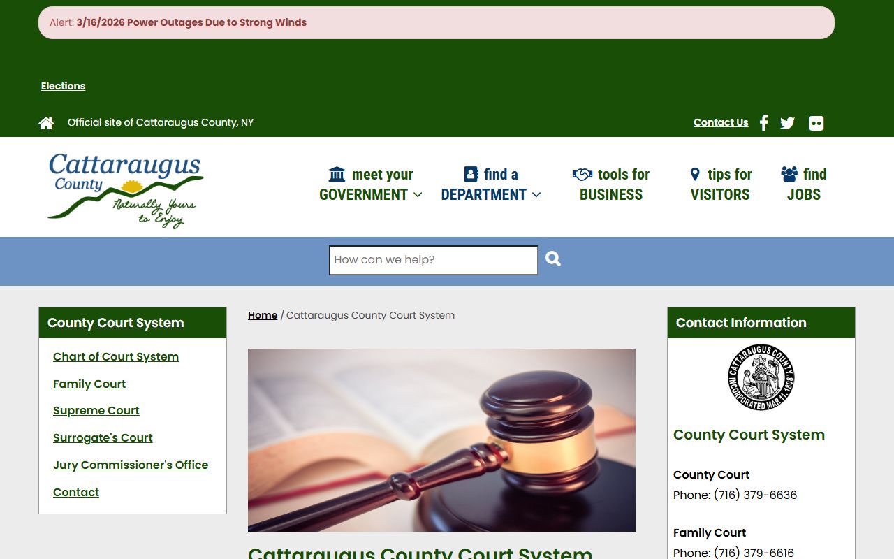Cattaraugus County court system family court records information